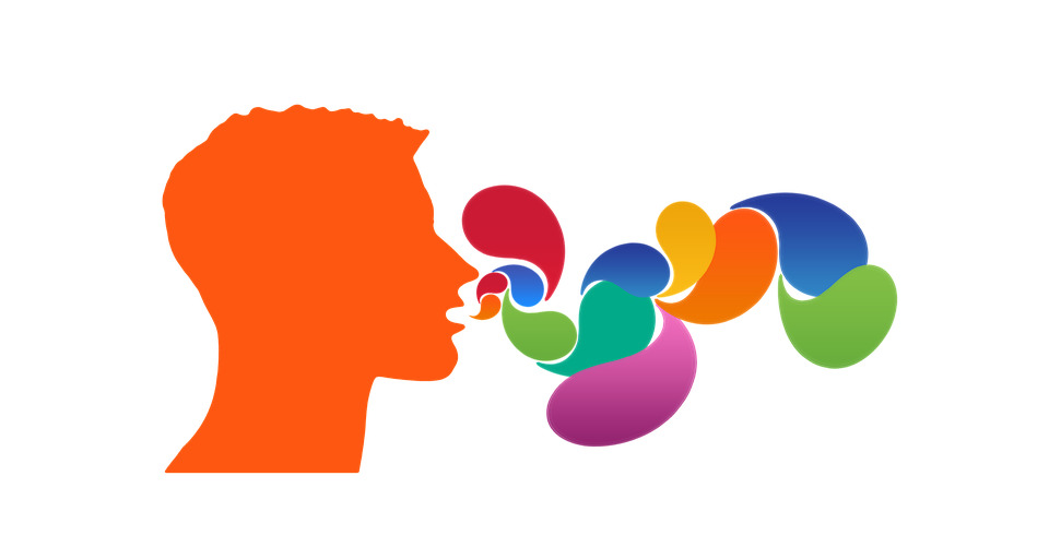 COMPETENCIAS ONTOLÓGICAS Y ORATORIA 2022